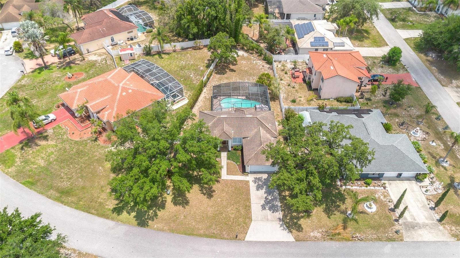 533 ANISE CT