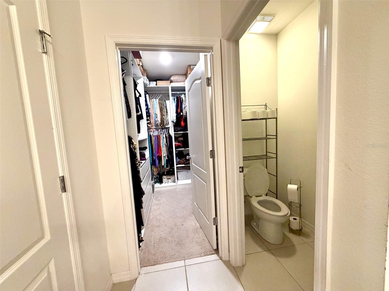 394 BRIAR PATCH LOOP
