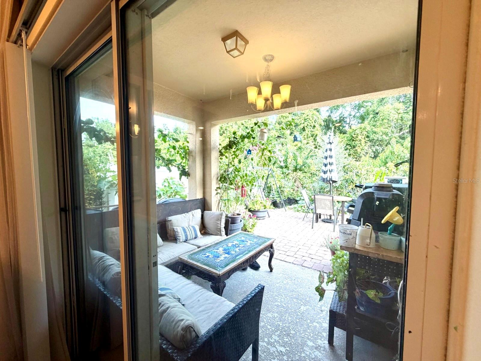 394 BRIAR PATCH LOOP