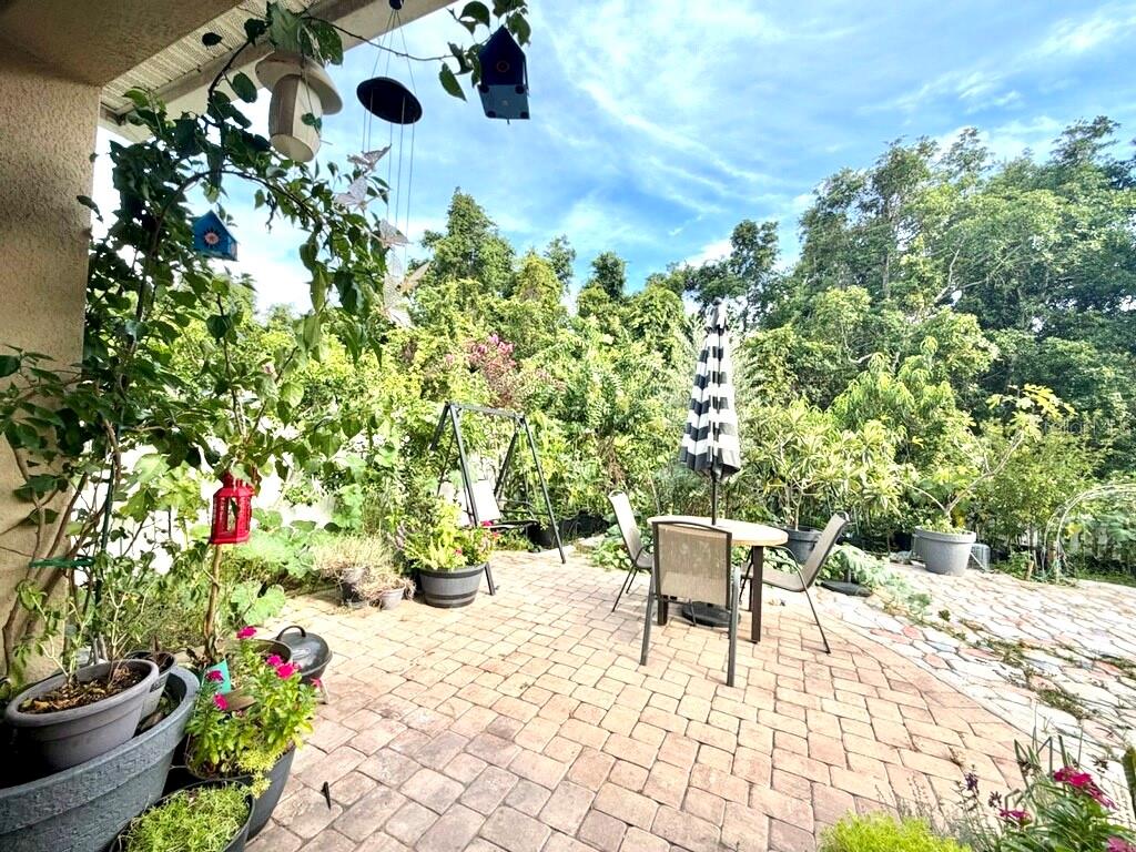 394 BRIAR PATCH LOOP