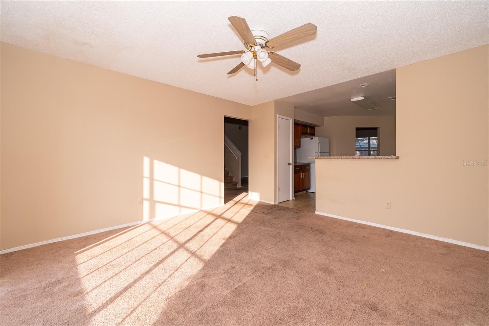 109 GREEN COVE CT