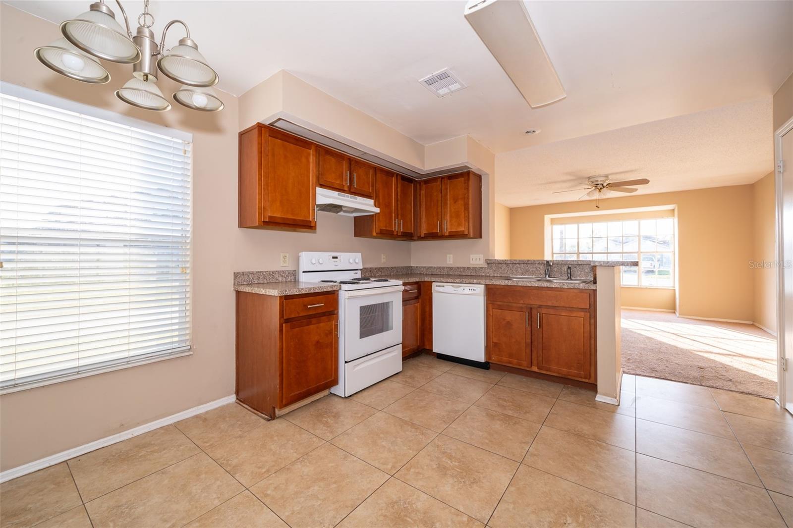 109 GREEN COVE CT