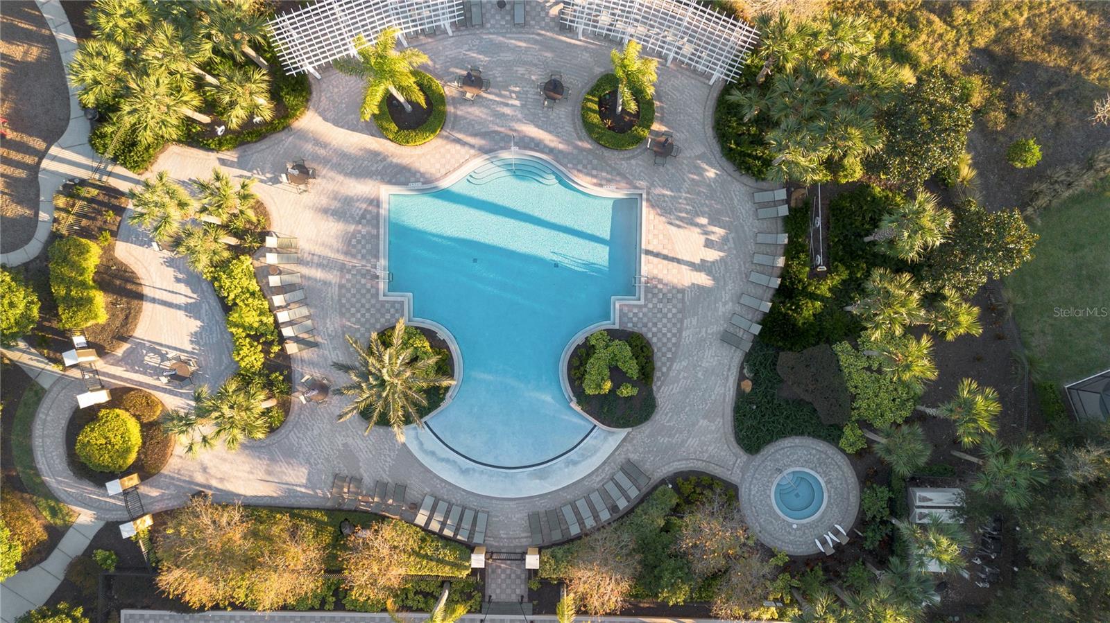 384 ORANGE COSMOS BLVD