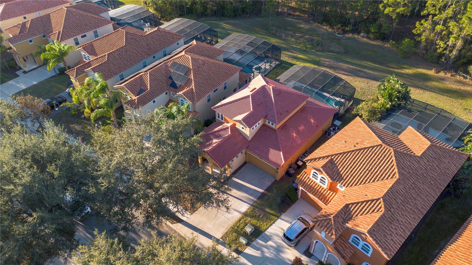 384 ORANGE COSMOS BLVD