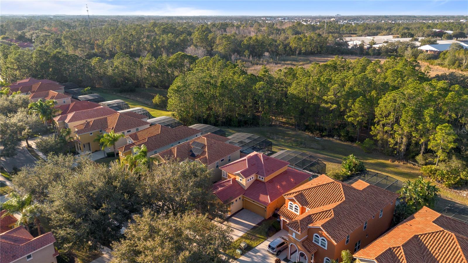 384 ORANGE COSMOS BLVD