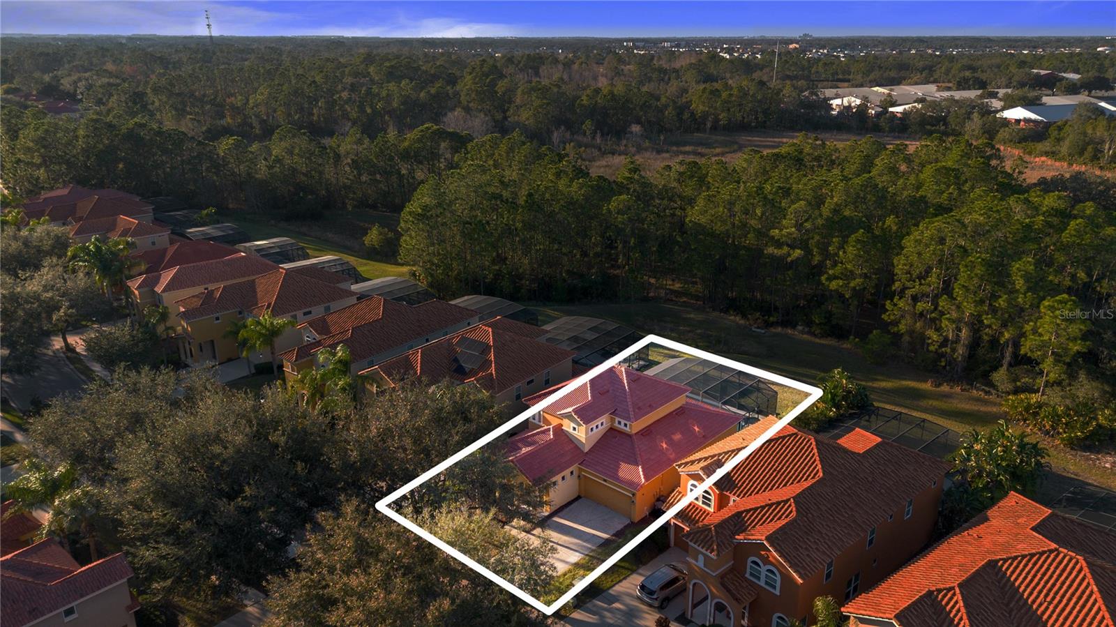 384 ORANGE COSMOS BLVD