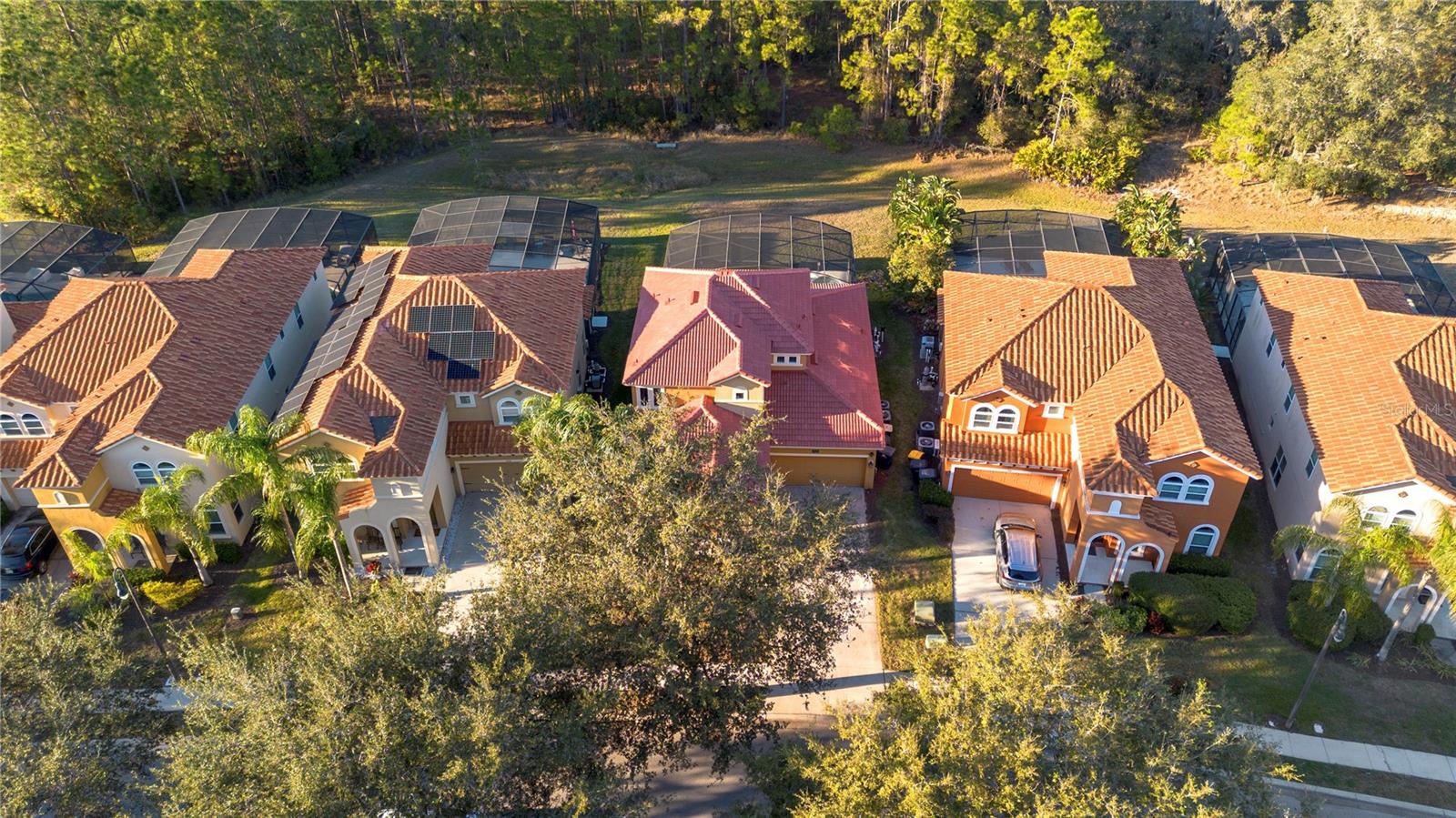 384 ORANGE COSMOS BLVD