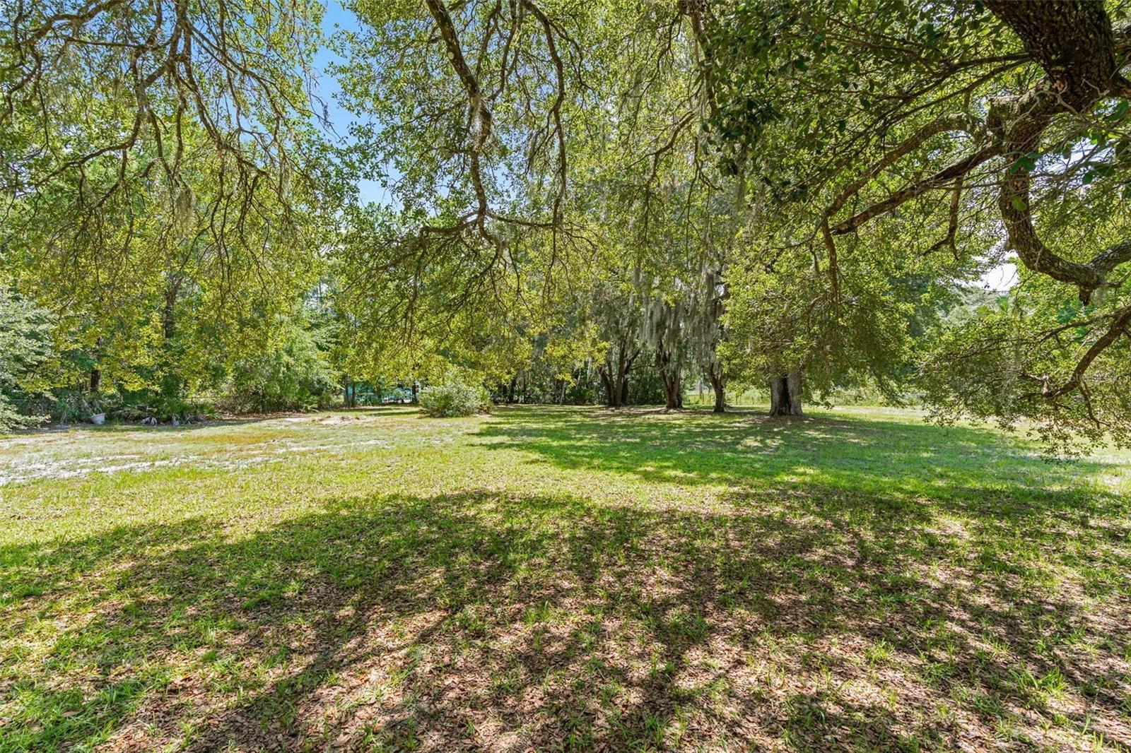 67 COVE RD