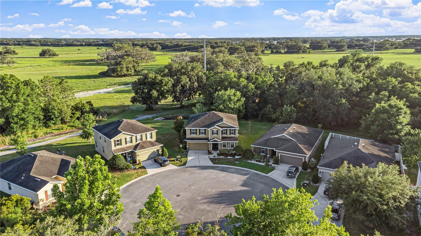 6209 HAWK GROVE CT