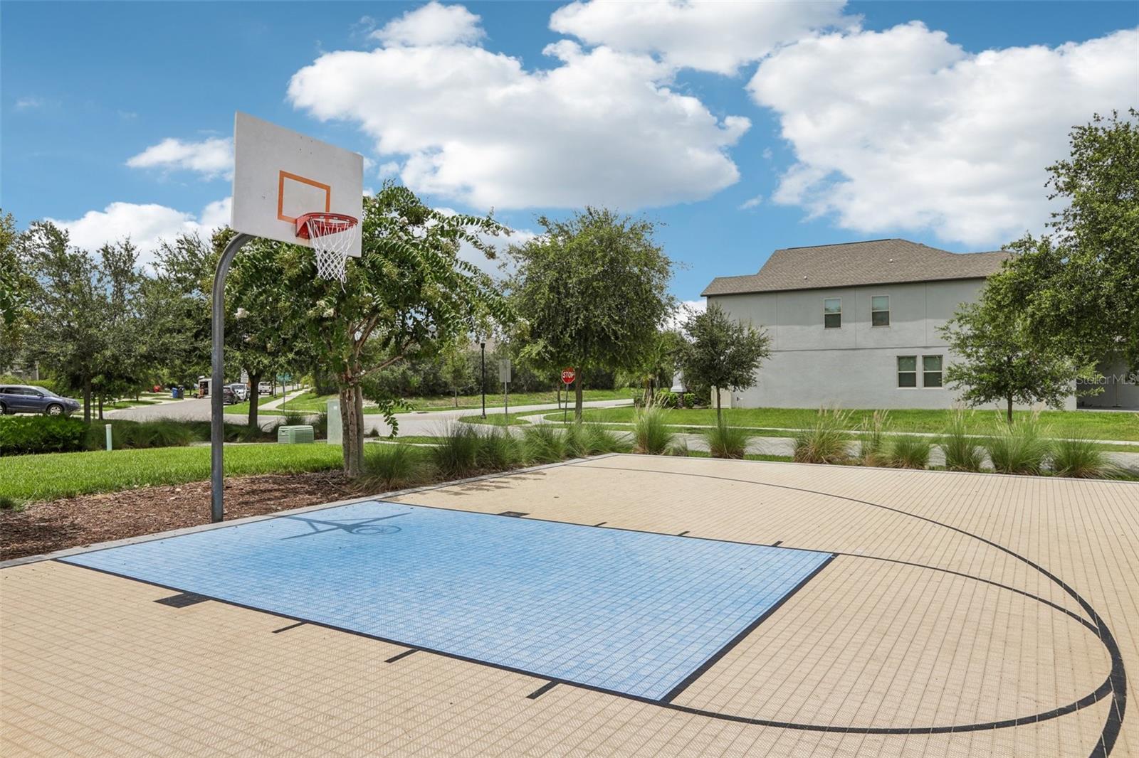 14093 TROPICAL KINGBIRD WAY