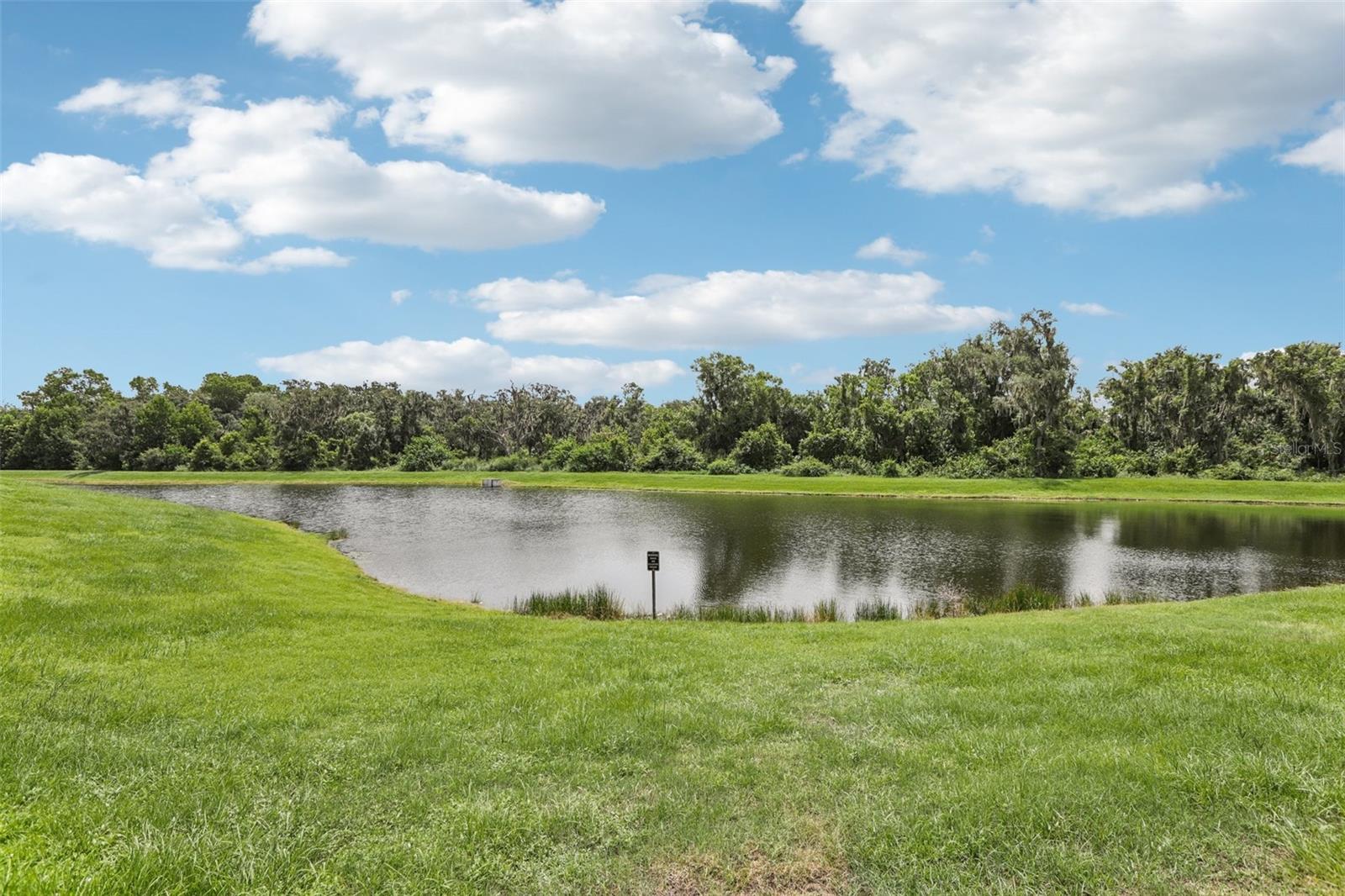 14093 TROPICAL KINGBIRD WAY