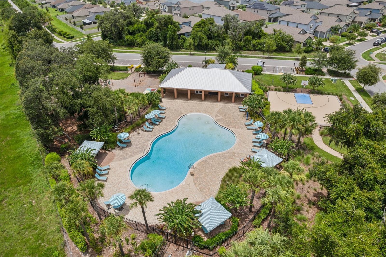 14093 TROPICAL KINGBIRD WAY