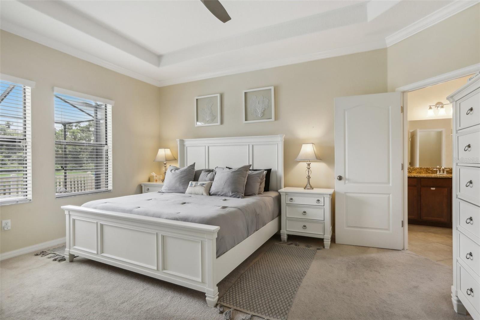 14093 TROPICAL KINGBIRD WAY