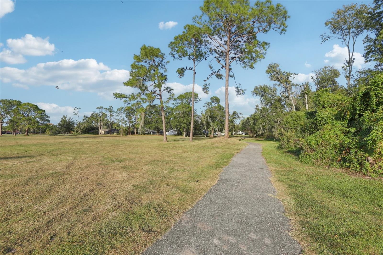 3225 PINE CLUB DR