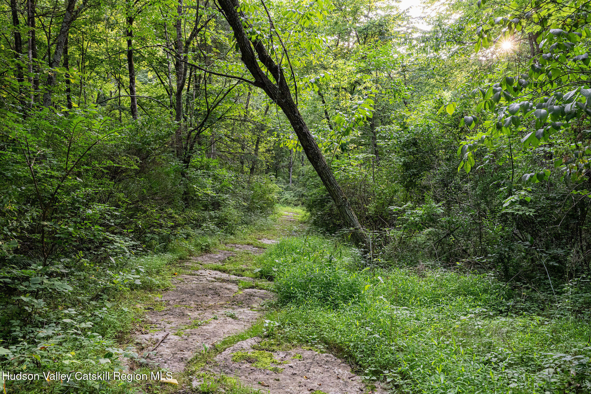 106 Mettacahonts Road