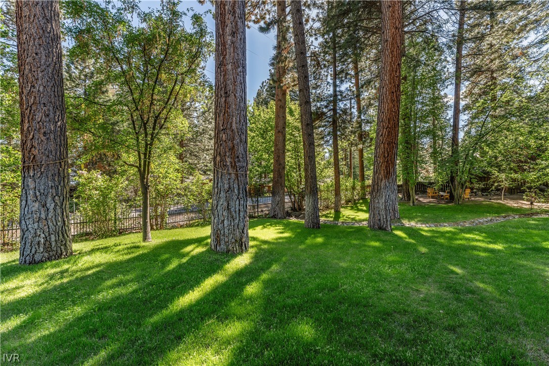 886 Freels Peak Drive