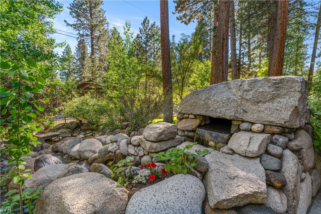 886 Freels Peak Drive