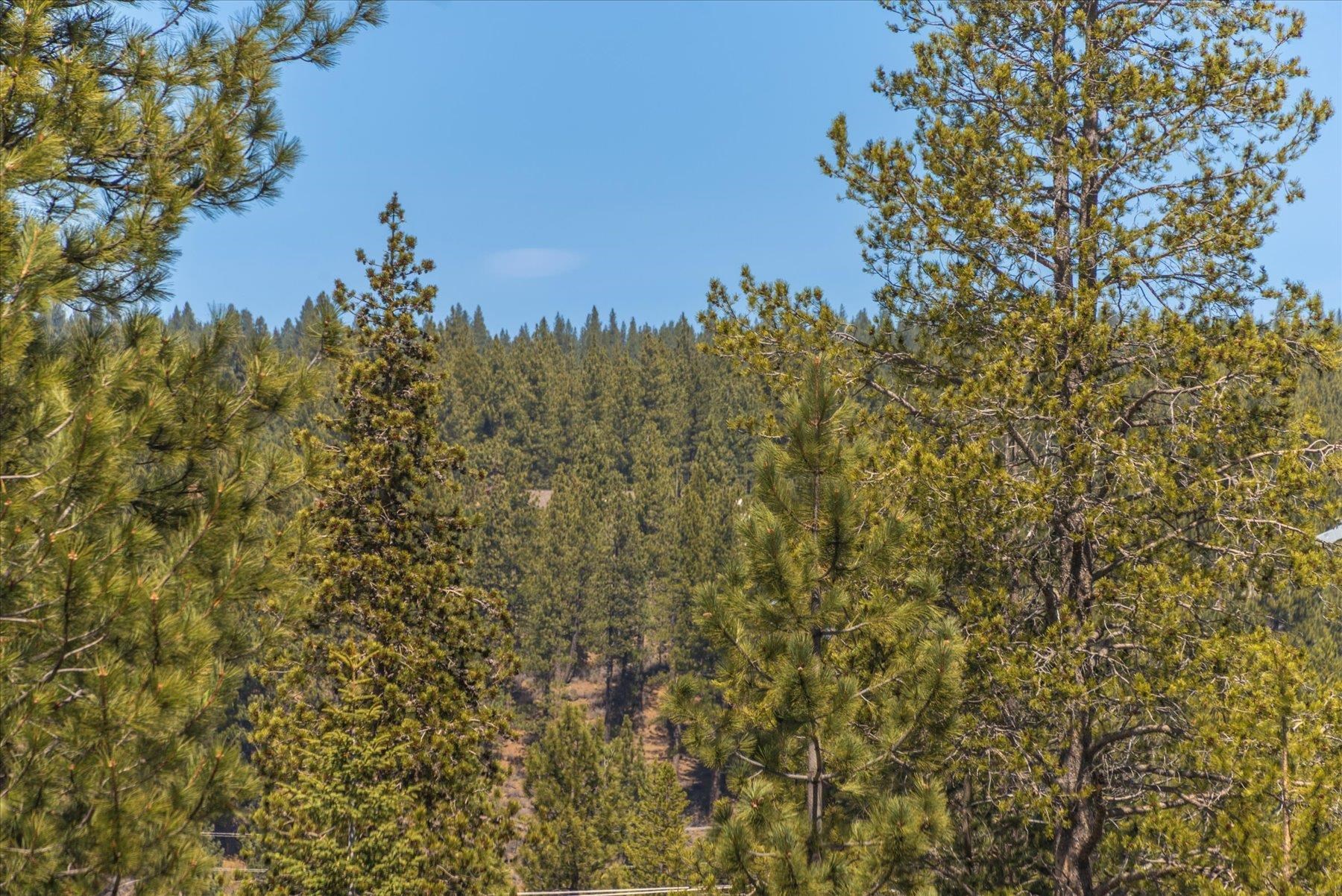 10259 Kylan Creek Court