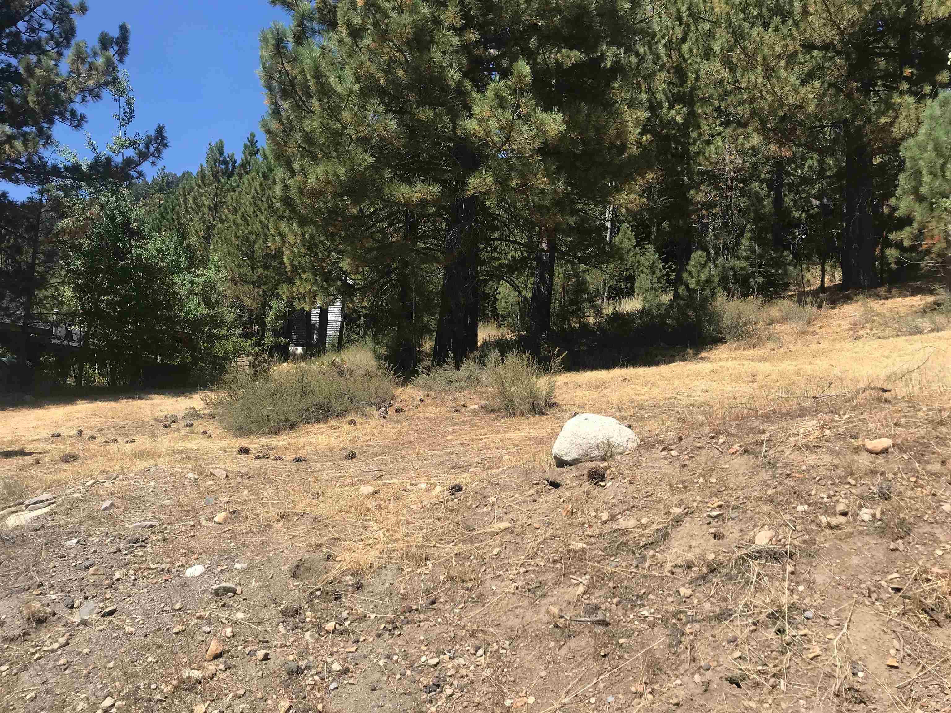 980 Olympic Valley Road