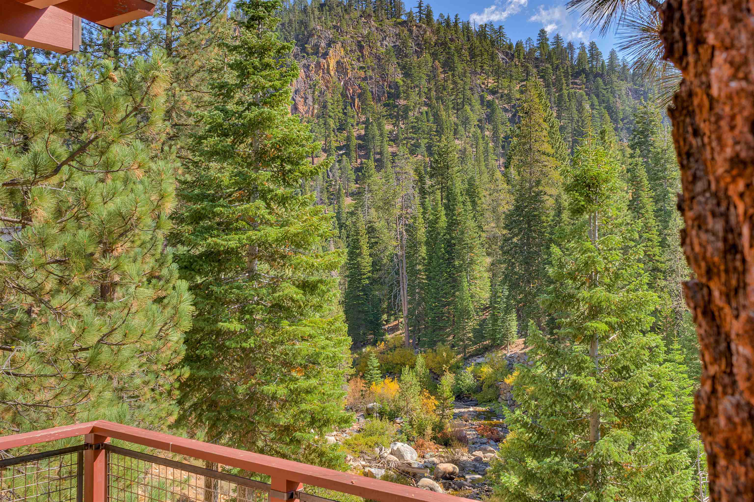 Mountain creek and pine-covered slope viewed from a deck railing.