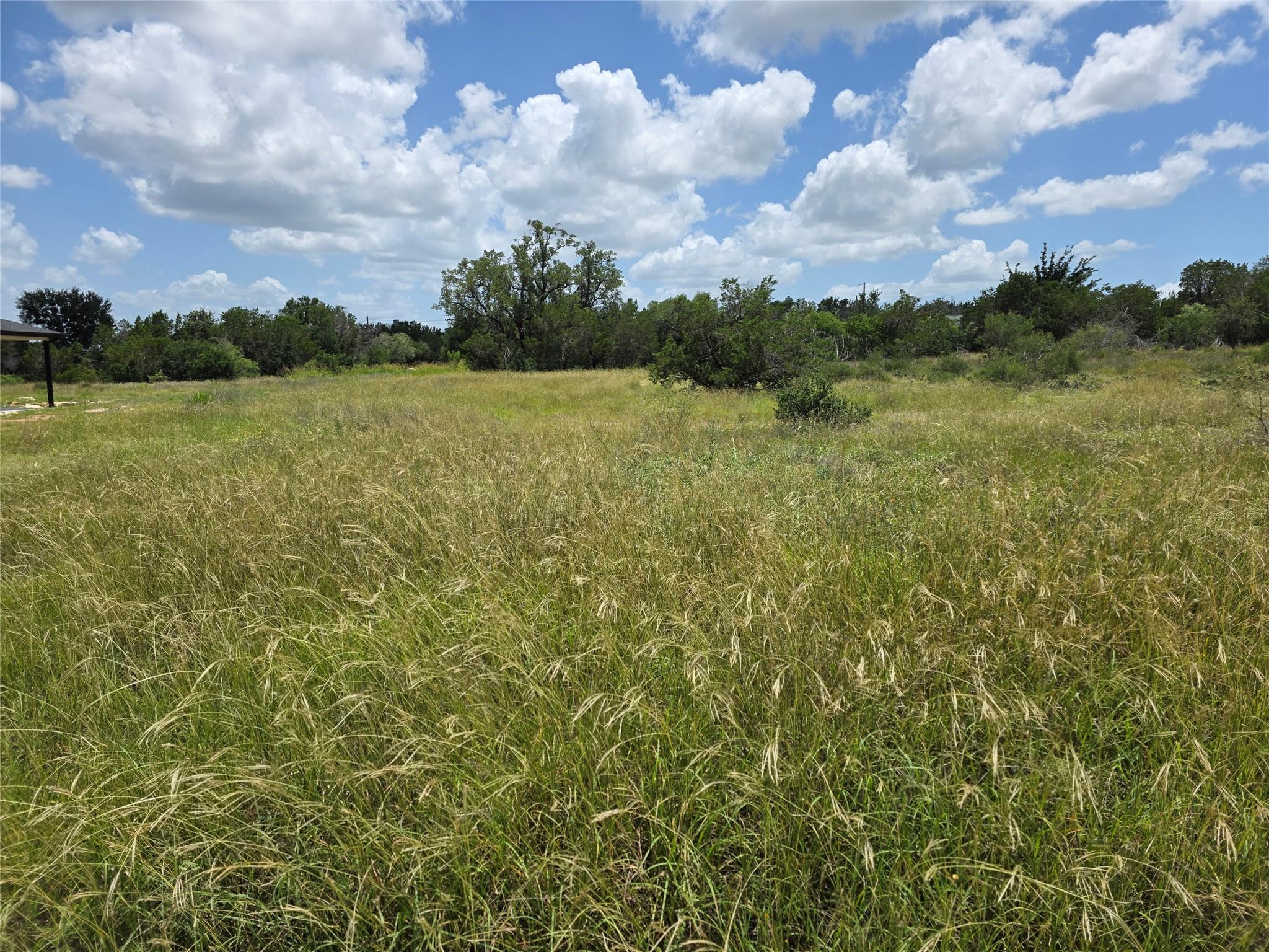 241 Spicewood Trails DR