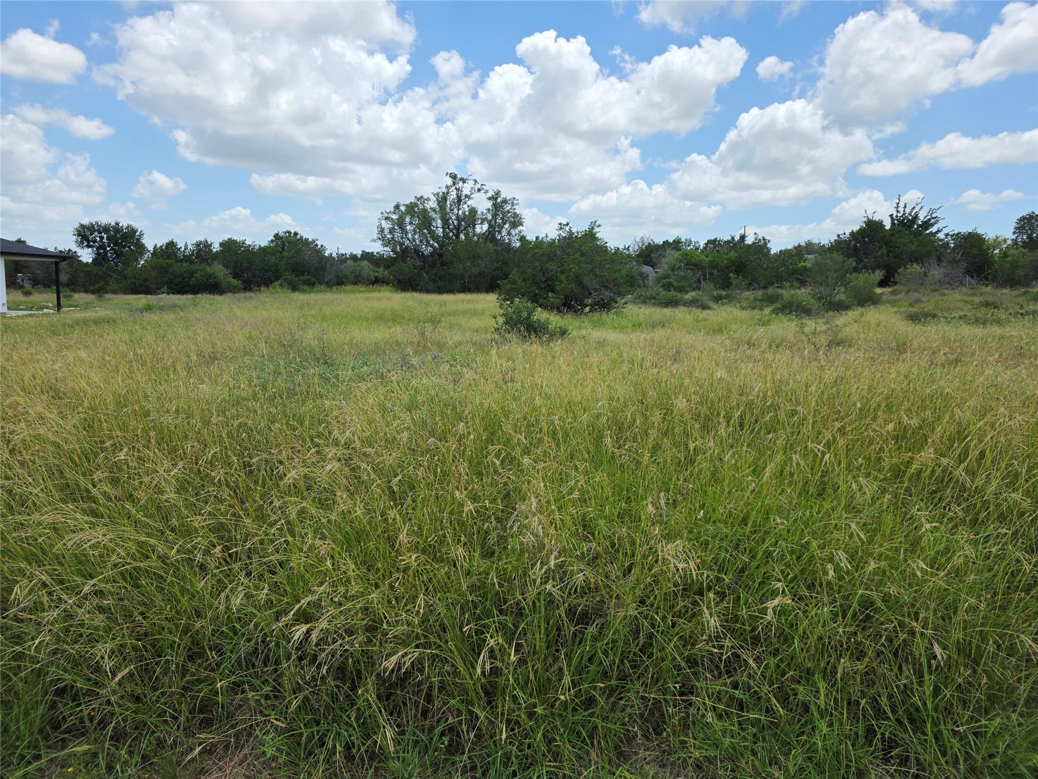 241 Spicewood Trails DR