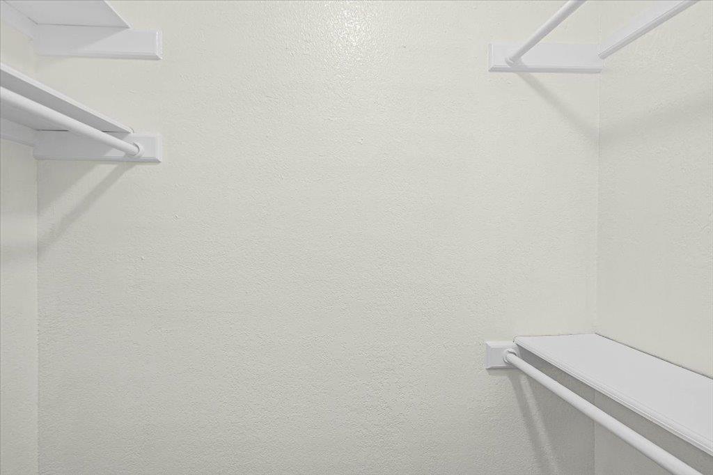 361 Fantail LOOP # B