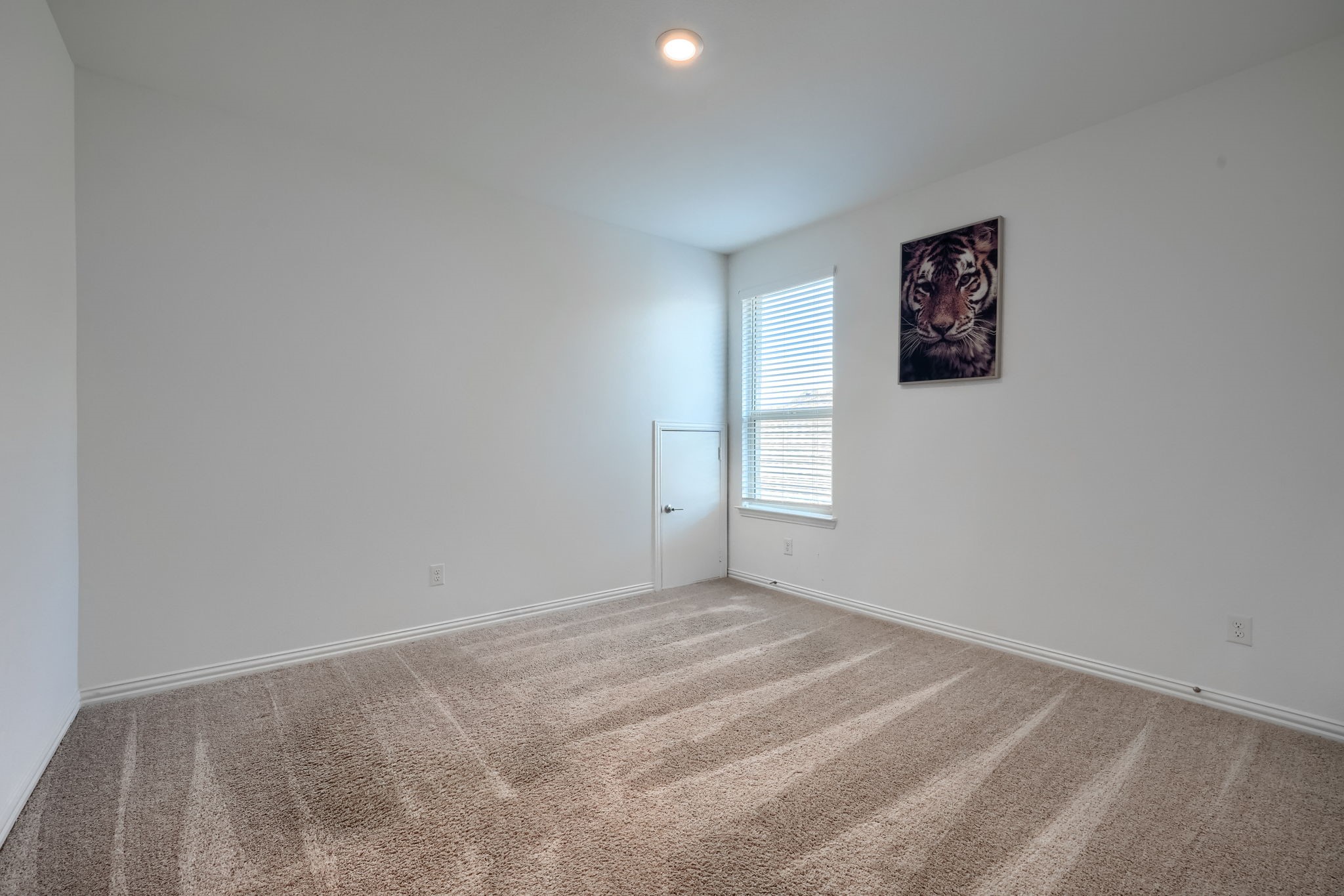 1121 Canuela Way