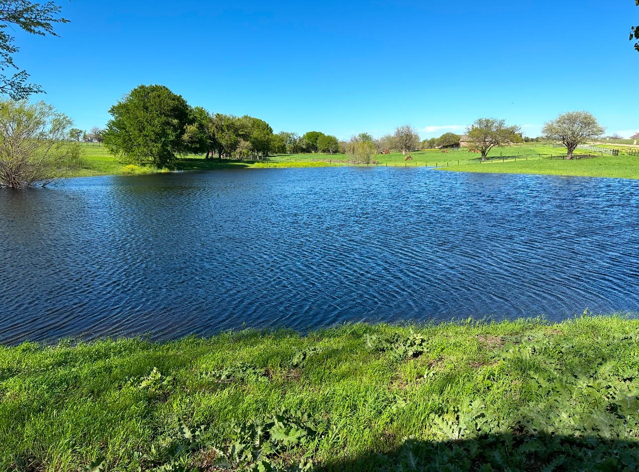 13081 W Fm 2449, 6.90 ac Road