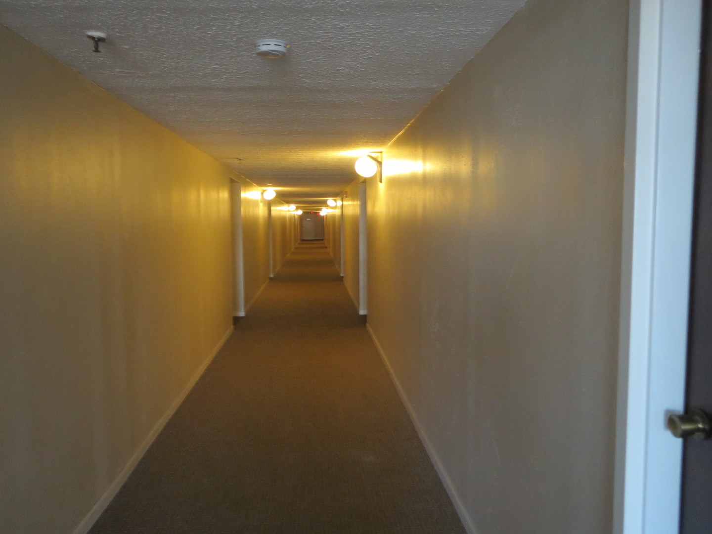 1450 PLYMOUTH Lane Unit: 509