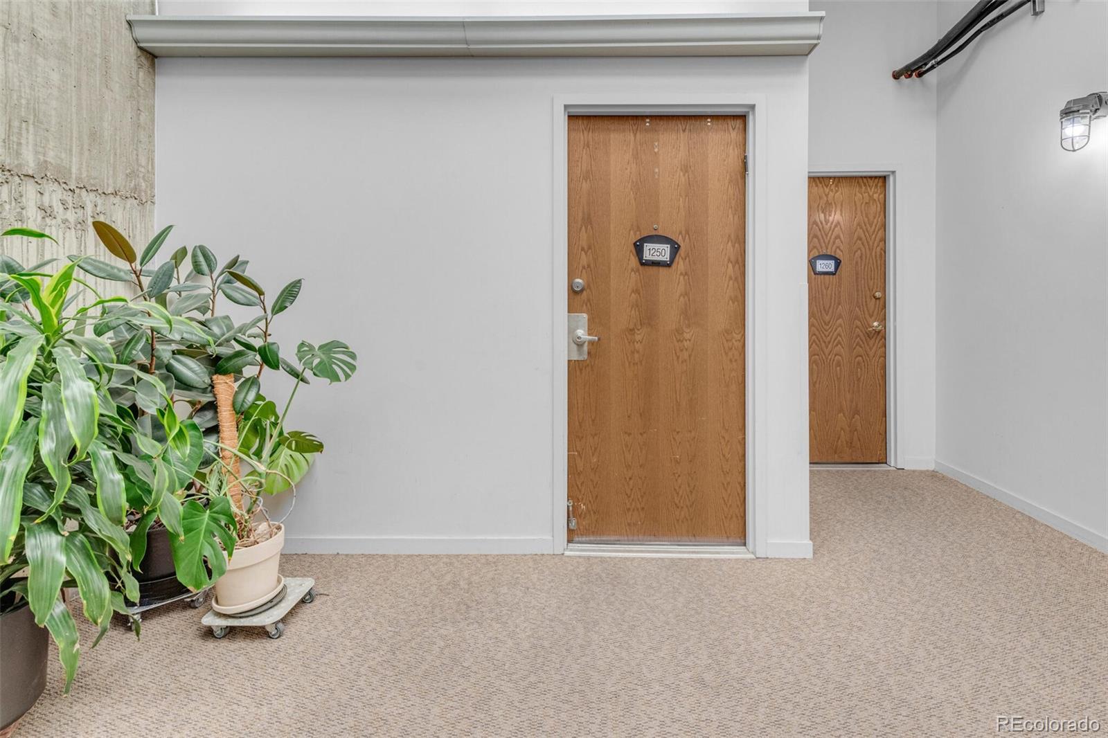 2020 Arapahoe Street Unit: 1250