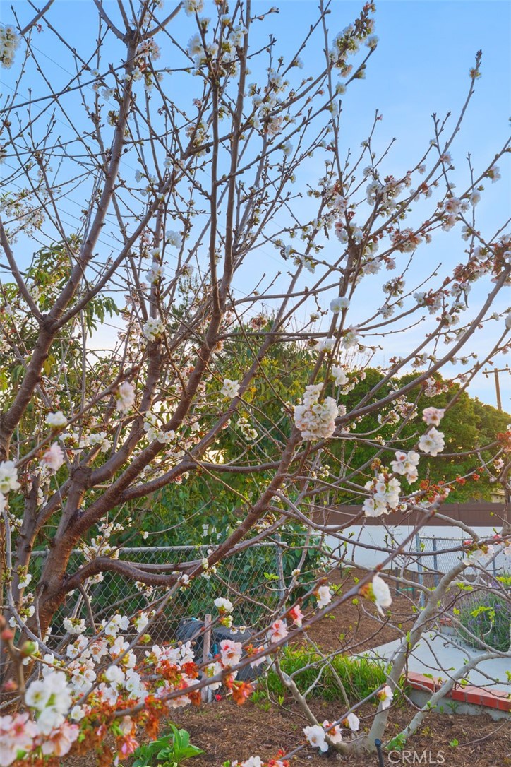 17792 Theodora Drive