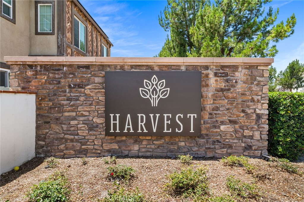 8670 Festival Street