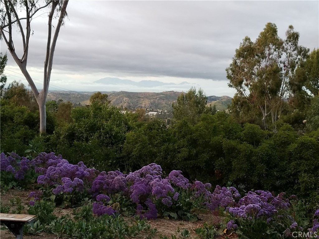 10062 Rangeview Drive