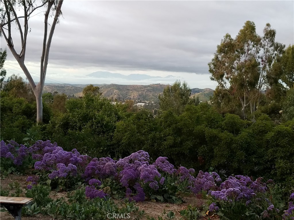 10062 Rangeview Drive