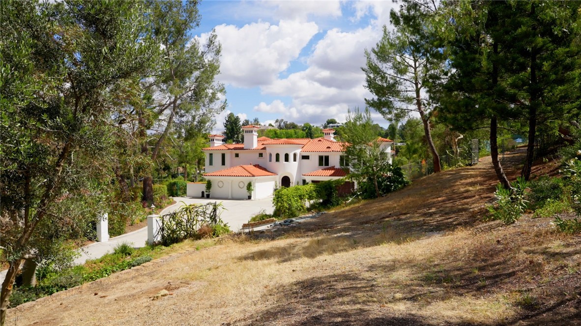 10696 Skyline Drive