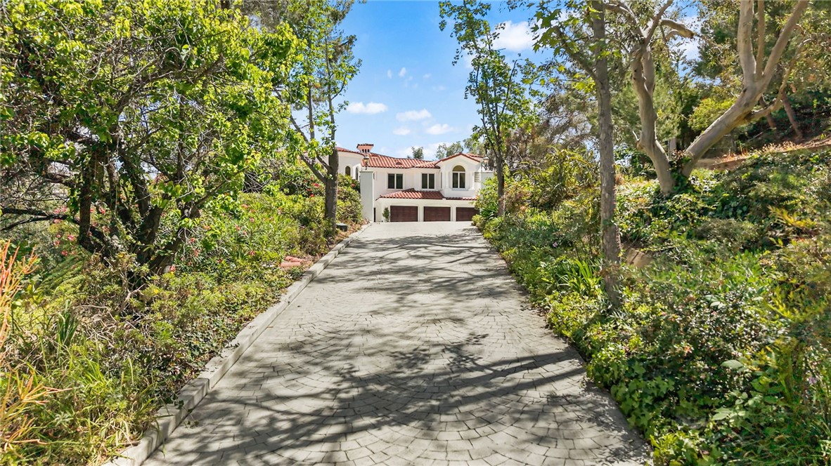 10696 Skyline Drive