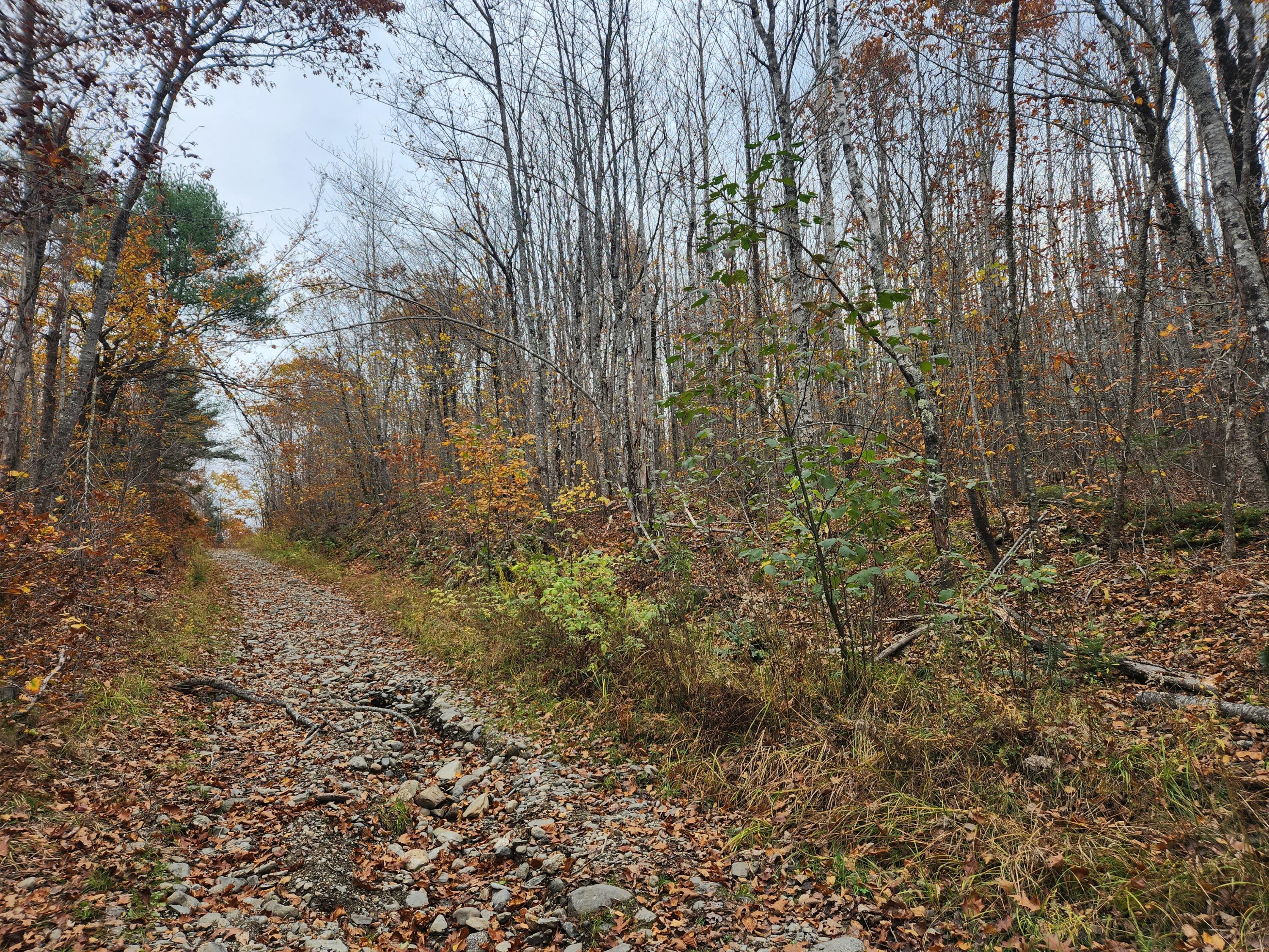 Lot#13-2B Tyler Lane Lane