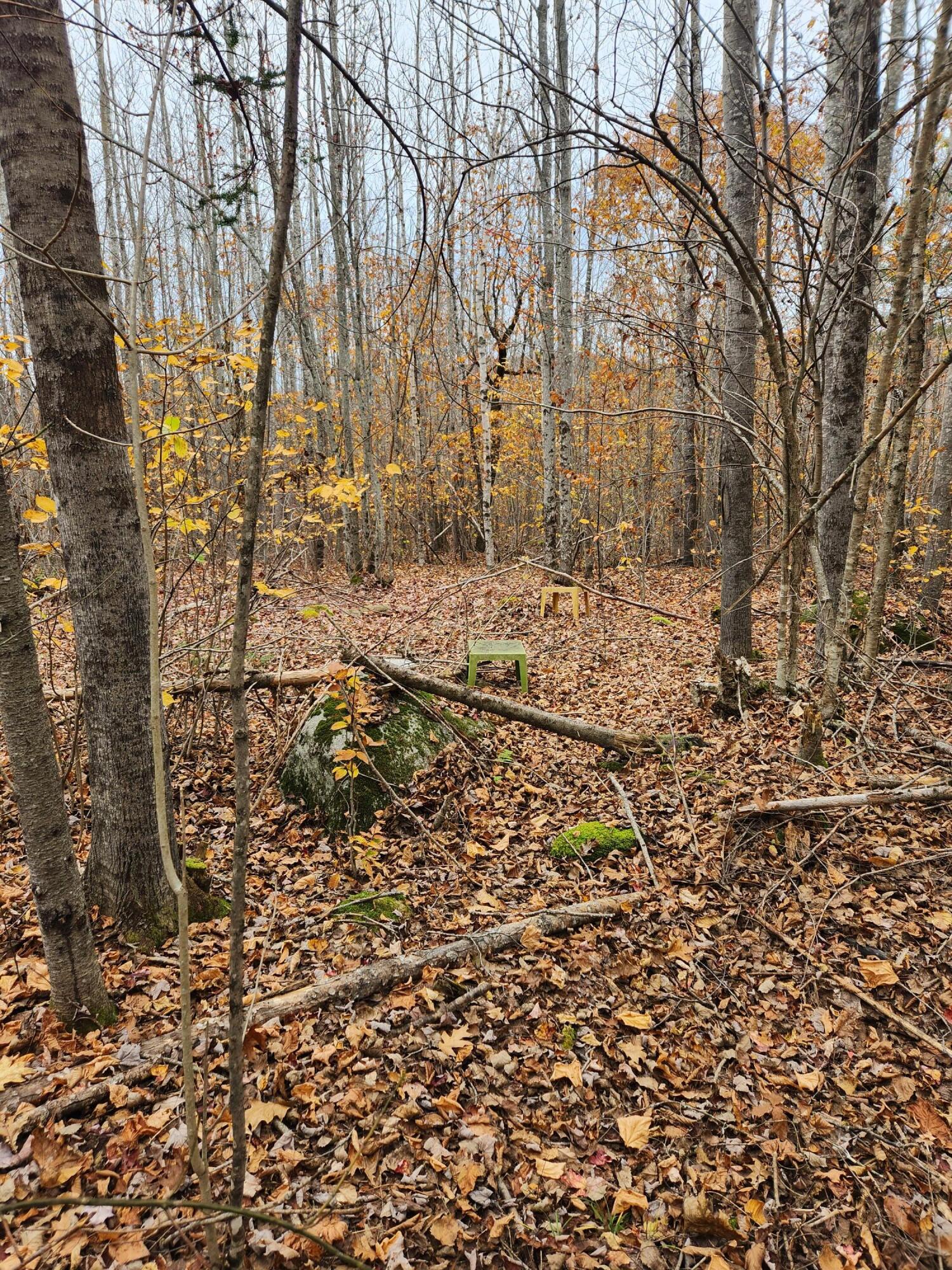 Lot#13-2B Tyler Lane Lane