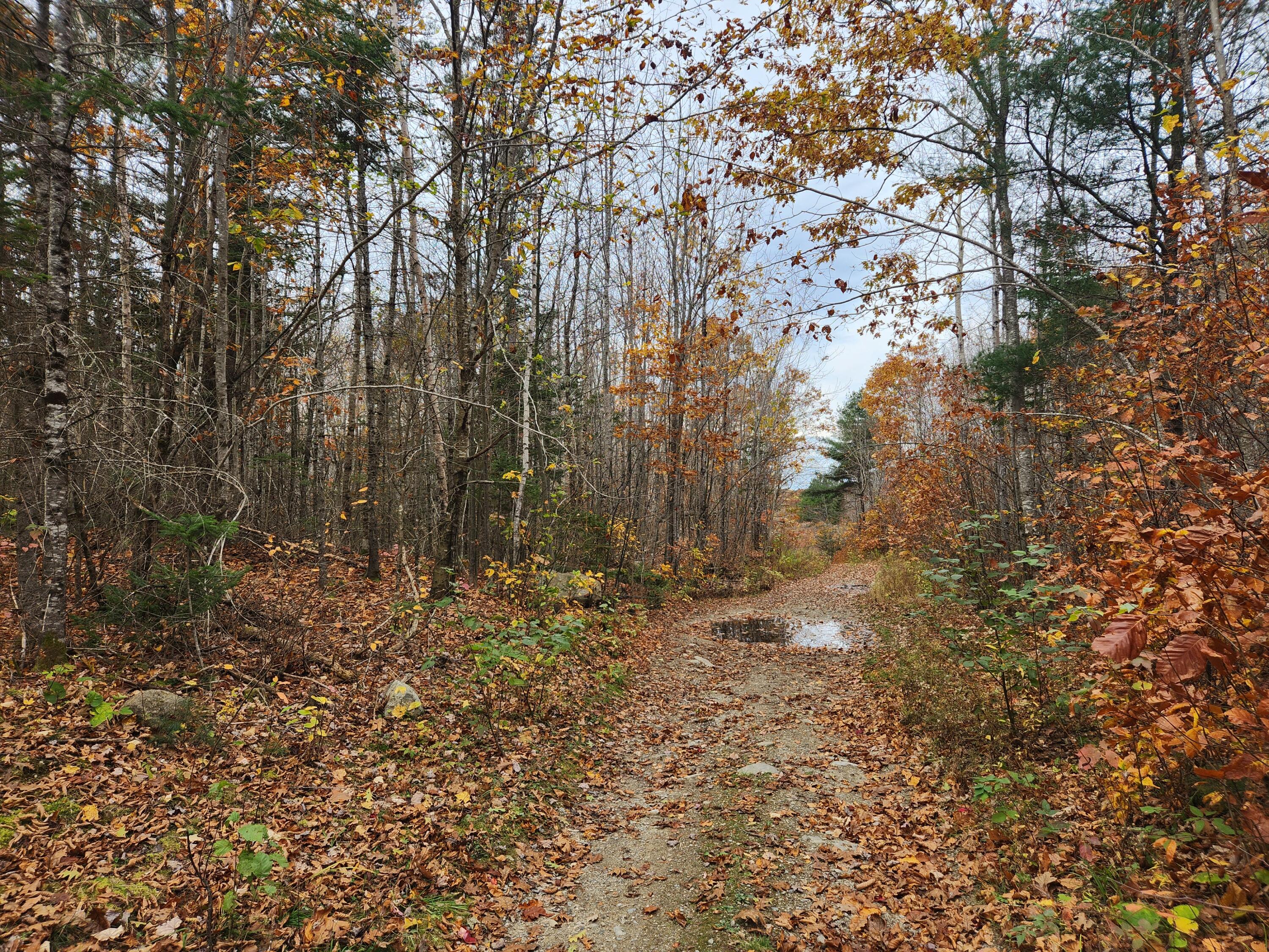 Lot#13-2B Tyler Lane Lane