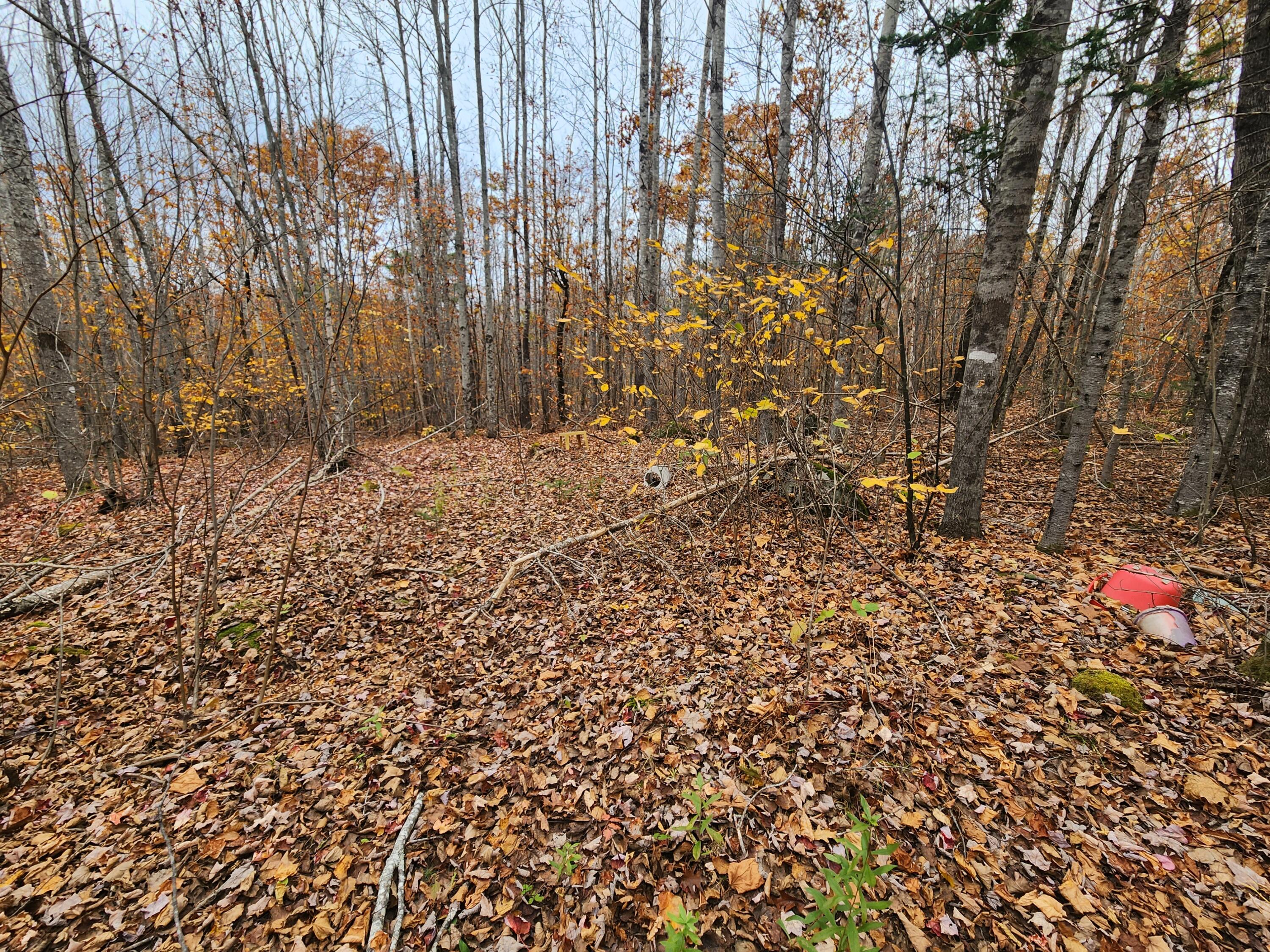 Lot#13-2B Tyler Lane Lane