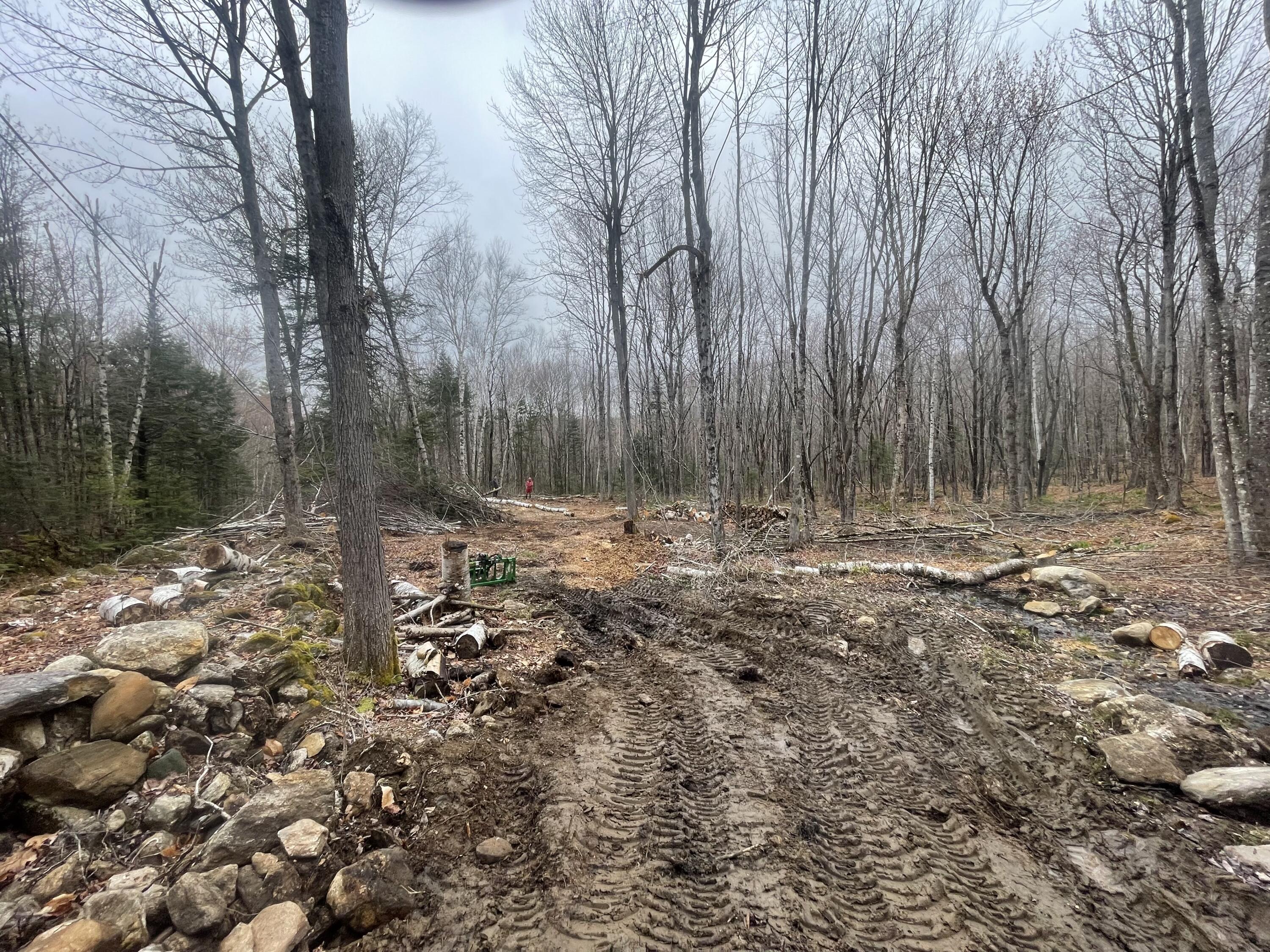 TBD Dunn Road