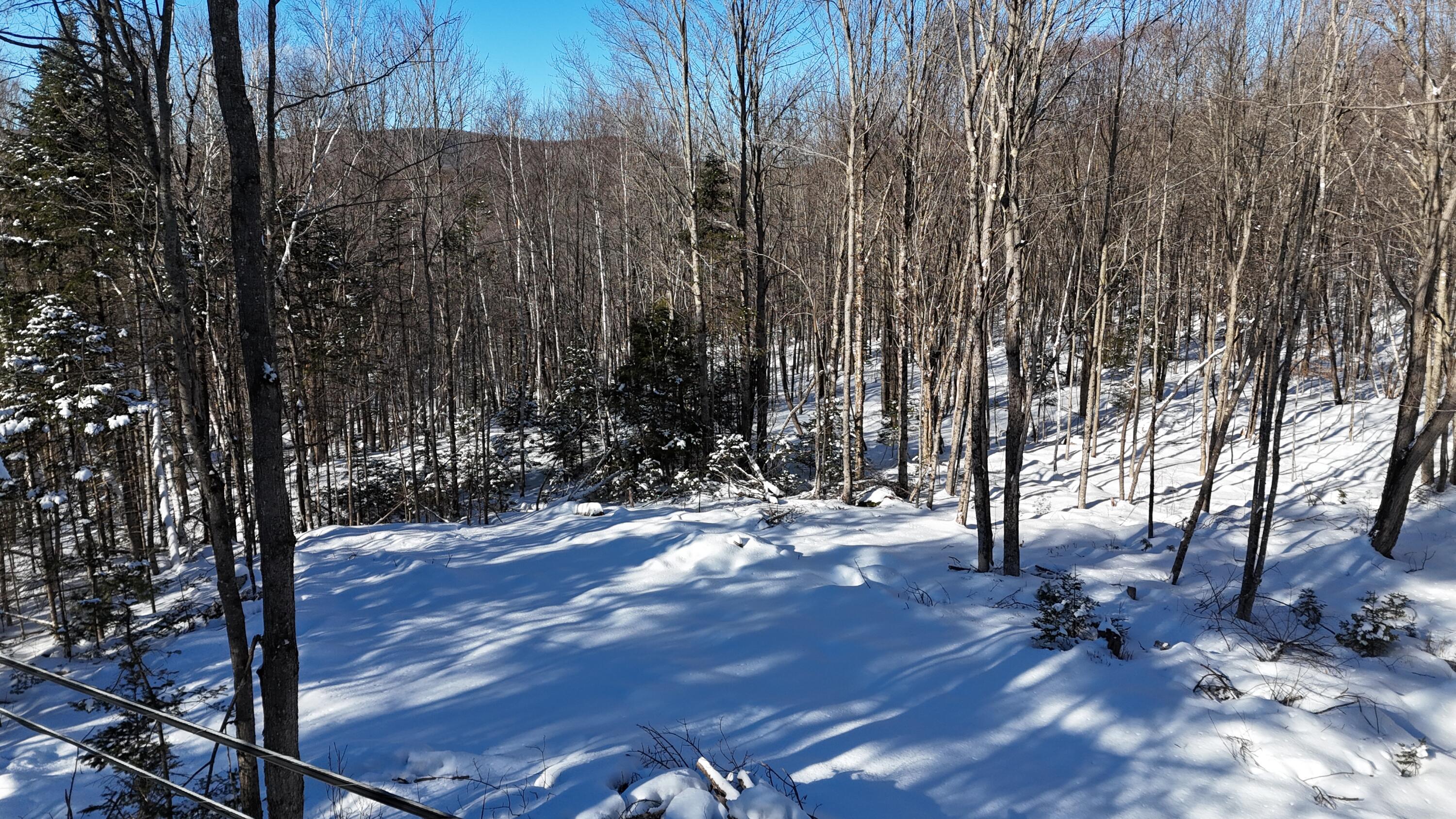 TBD Dunn Road