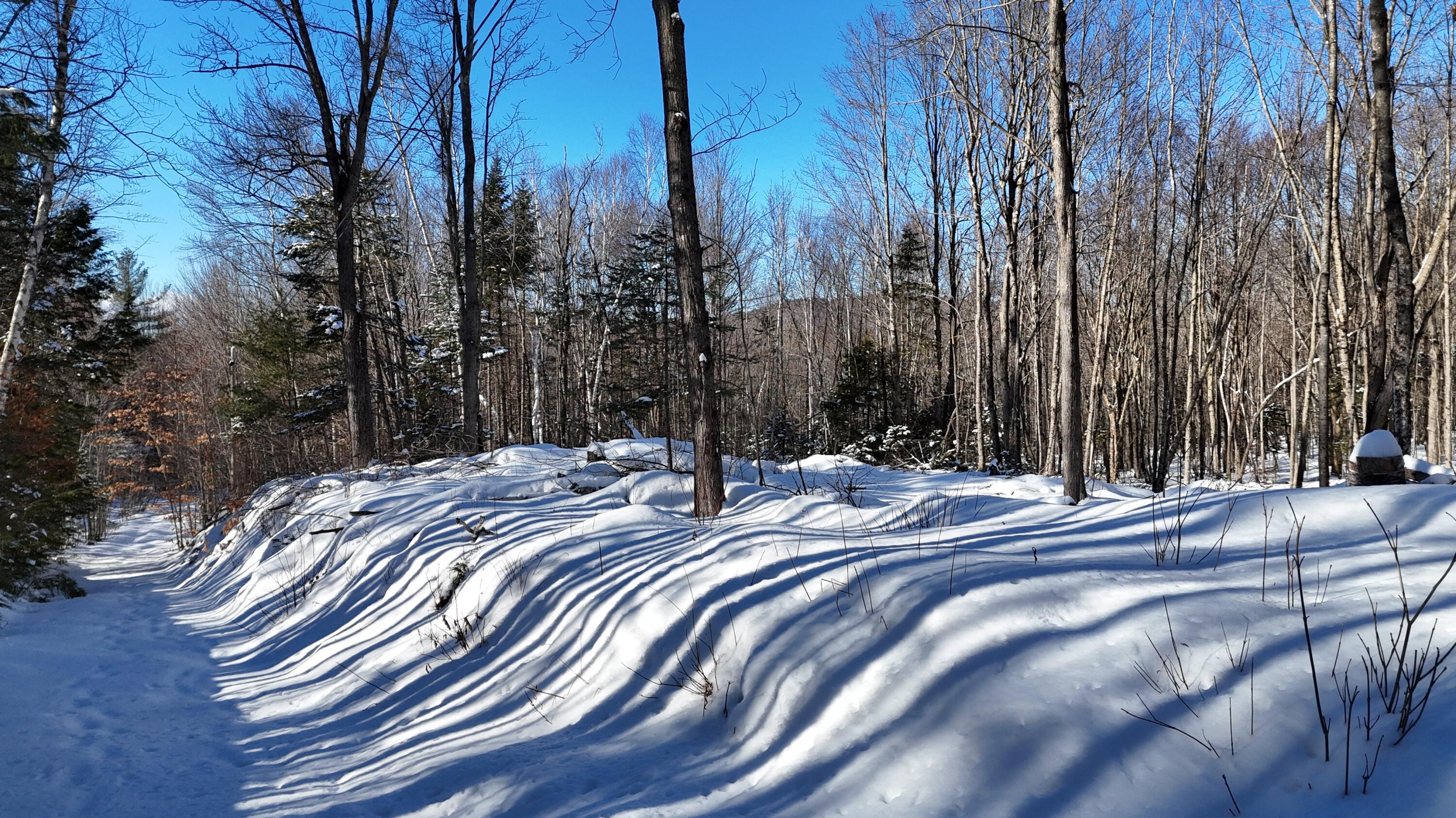 TBD Dunn Road