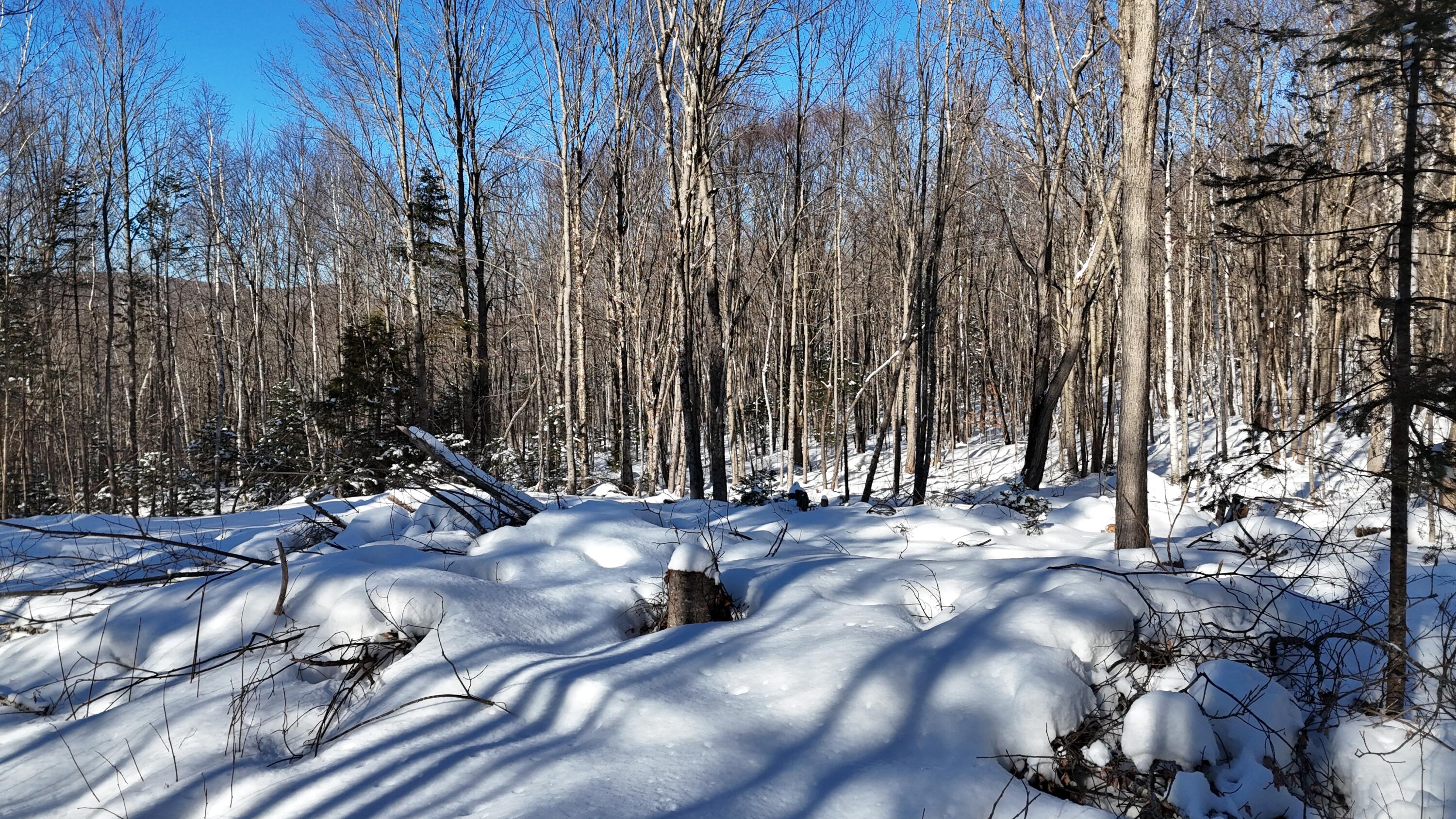 TBD Dunn Road