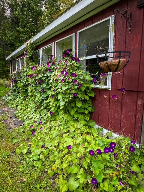 1278 Main Road Road