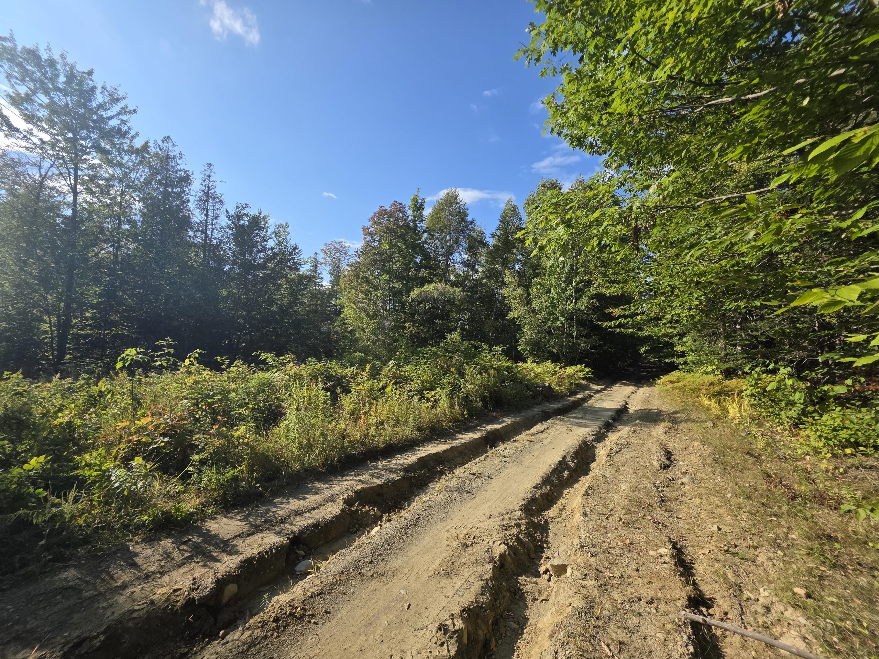 TBD Woodcock Road