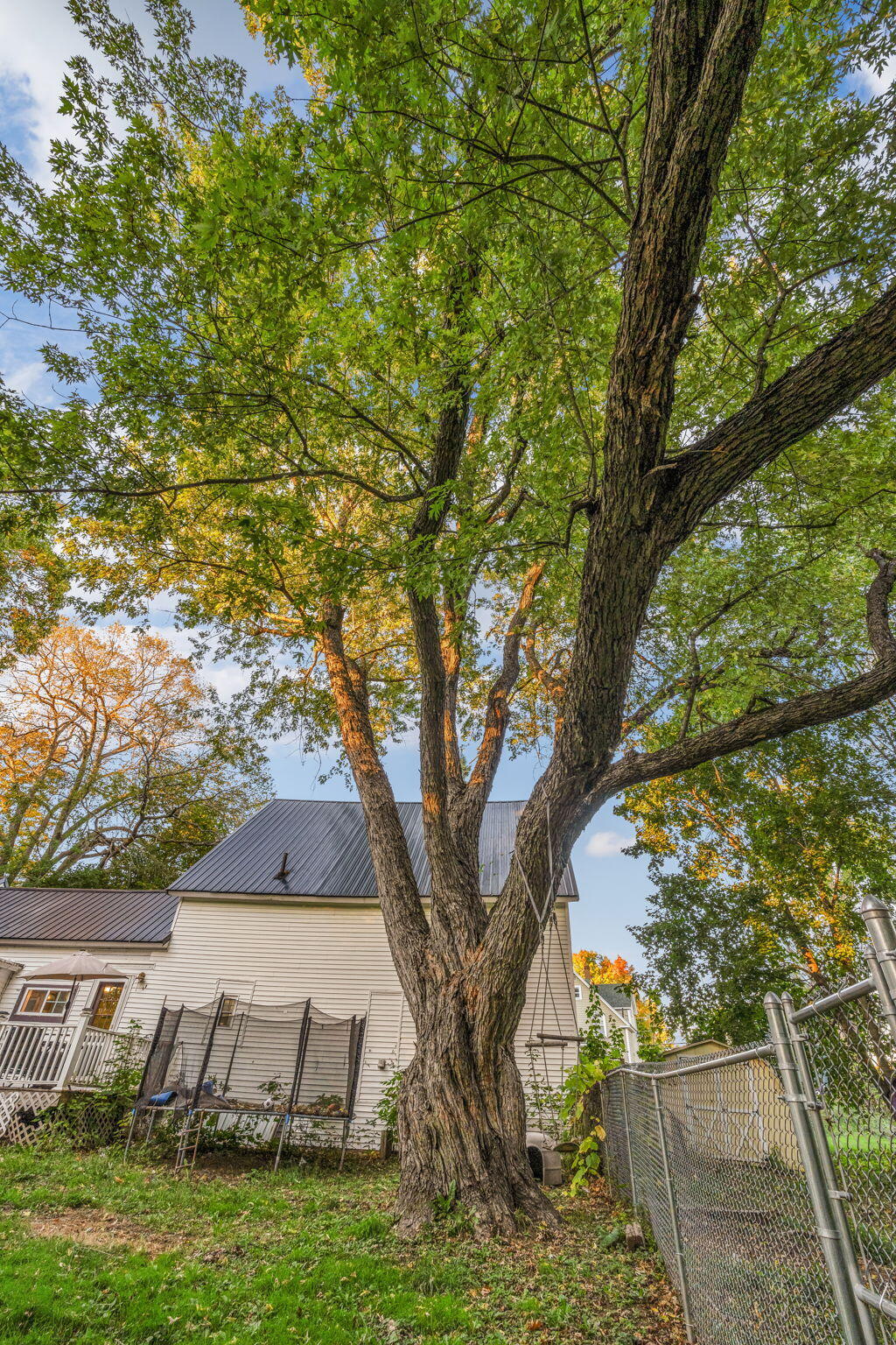 8 Carter Avenue