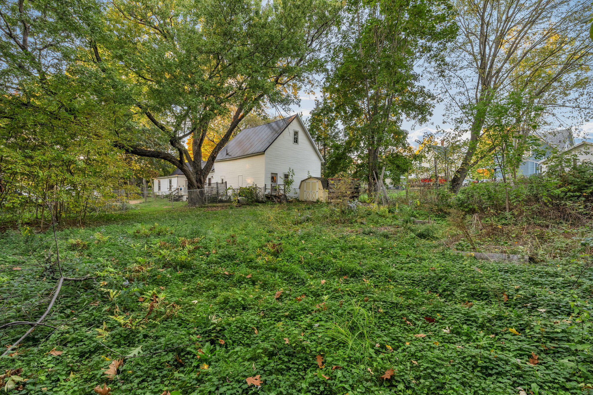 8 Carter Avenue