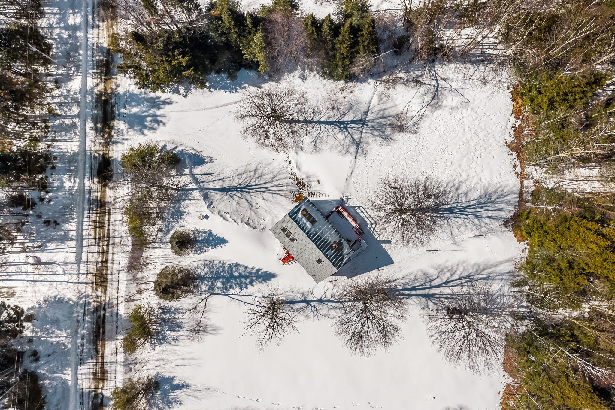 103 Shady Lane